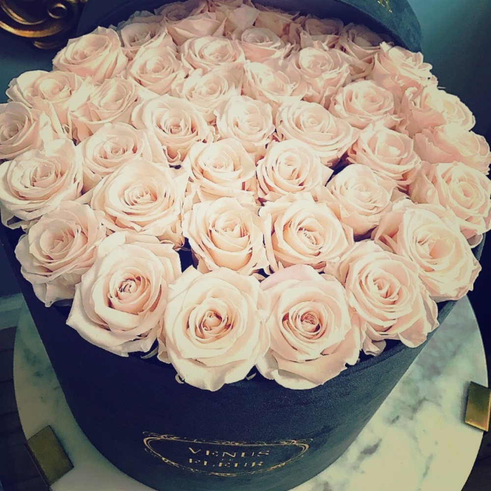 Meet your Posher, Ashley